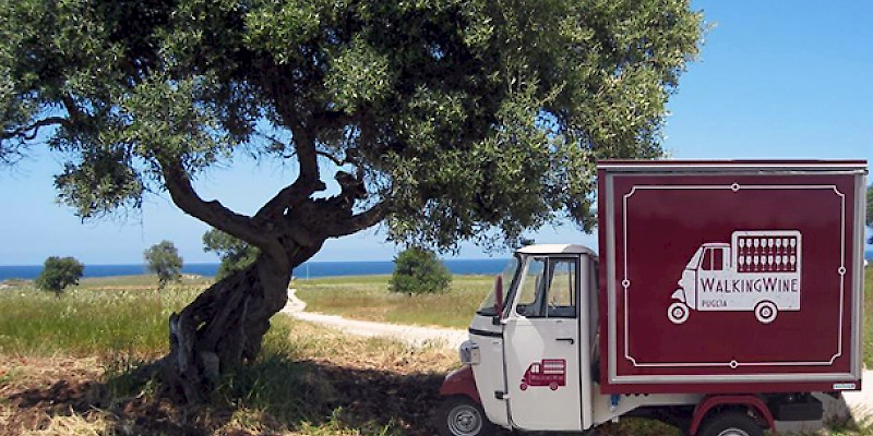 WalkingWine: la vineria on the road che viaggia a bordo di un Ape Piaggio